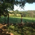 20140916 LE BOSQUET FENCING & POND WORKS 21